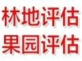 圖 專業快速評估公司 北京會計審計